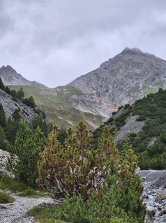 Photo de Marie Weyn le long du parcours