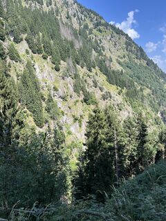 Photo de MM1893 le long du parcours