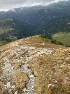 Foto von Melanie Hörzer entlang der Tour