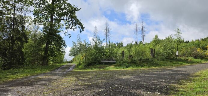 Foto von Kerstin Lindam entlang der Tour