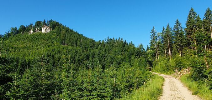 Fotografija s spletne strani mike wm na poti