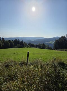 Foto von Sandra Hashagen entlang der Tour