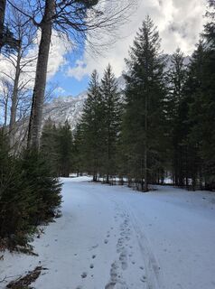 Fotografija s spletne strani Steffen Reusmann na poti