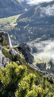Fotografija s spletne strani Richard Dietze na poti