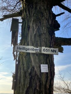 Foto von Mathias Junge 1 entlang der Tour