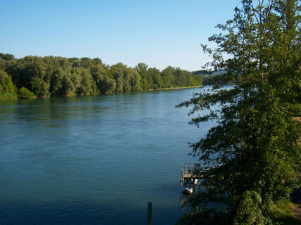 Aarezufluss in den Rhein