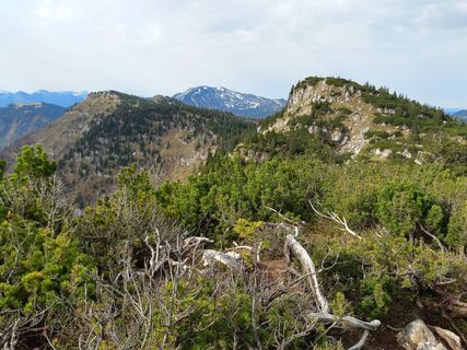 Scheiblingstein und Bärenleitenkogel