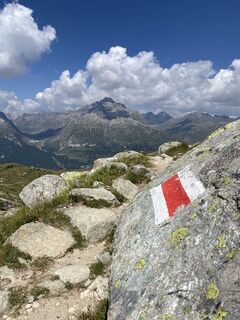 Foto von Annalena Dietrich entlang der Tour