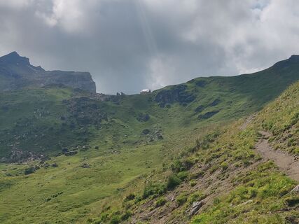 Fotografia z Xenia Lange na trase