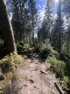 Foto von Ayse Bektas entlang der Tour