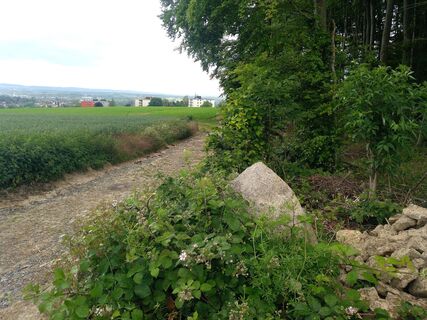 Aussicht vom Karl-Bachler-Weg