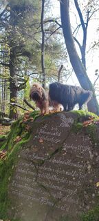 Foto von Michael Crull entlang der Tour