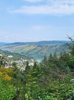 Foto da yolanda beck lungo il tour