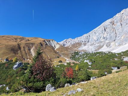 Foto da Andi68 lungo il tour