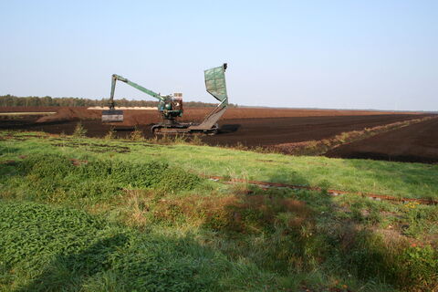 Borsteler Moor Steyerberg