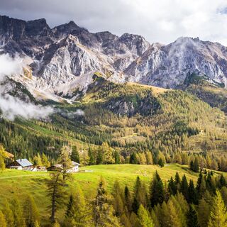 bachlalm-dachsteinmassiv-filzmoos-sommer