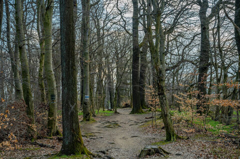 Fotografia z Ekhard Oberleitner na trase