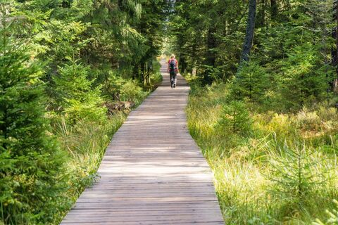 Ein wunderschöner Holzbohlenweg führt durch das Hochmoor