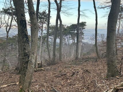 Foto von Car Wanderfreude entlang der Tour