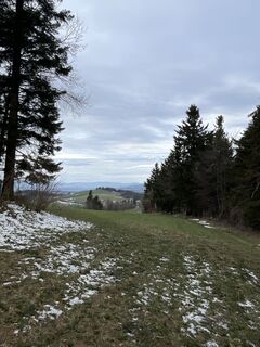 Foto von Petra Weber entlang der Tour