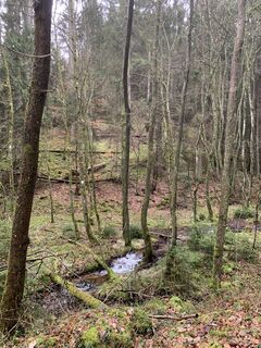 Photo from vieletausendkilometer along the tour