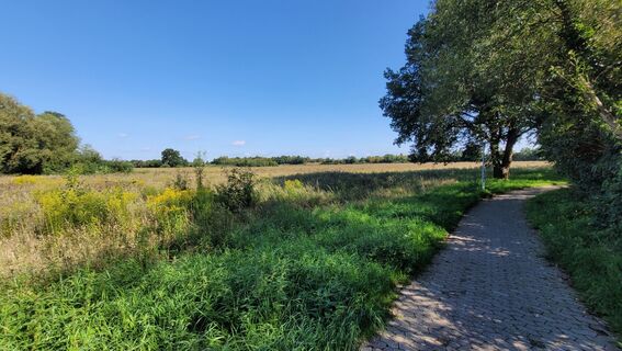 Foto de Alex Kloß a lo largo del recorrido