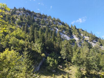 Photo de Manuela Oberfeichtner le long du parcours