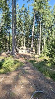 Foto de Małgorzata Witczak 1 a lo largo del recorrido