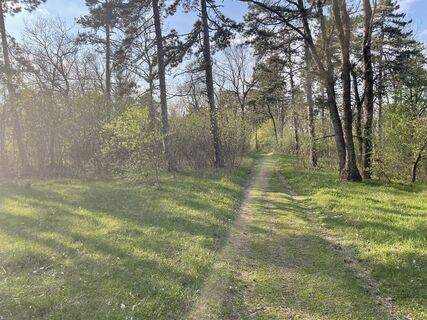 Fotó a Levente Tóth 1 honlapról a túra során