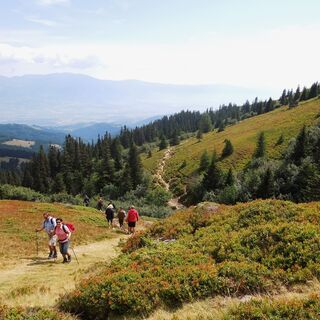 Wandern auf der Saualpe