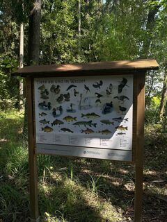 Schautafel Vögel und Tiere