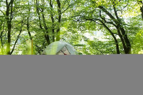 Trekkingplatz D2 -Waldkante bei Wirmighausen 