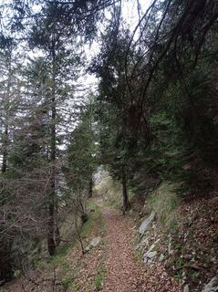 Foto da Aner lungo il tour