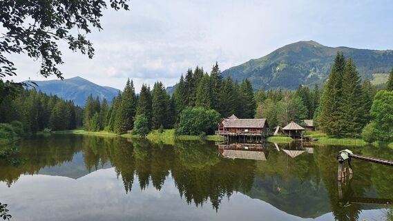 Foto von Manfred Maier 3 entlang der Tour