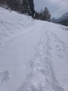 Photo de Sven & Aussie Lexi le long du parcours