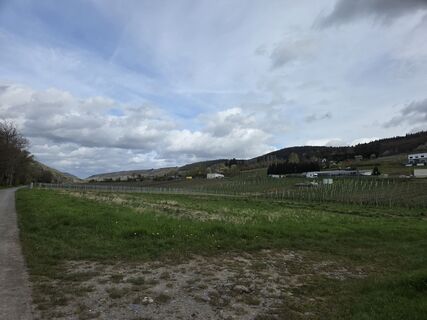 Photo de Silke S. le long du parcours