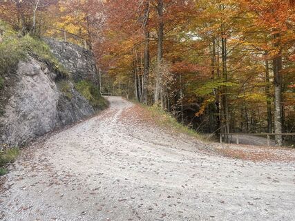 Fotó a Phillip honlapról a túra során