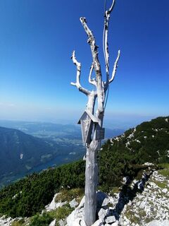Fotografia z Turbinio na trase