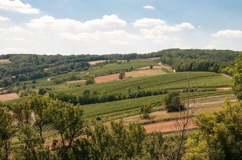 Aussicht ins westliche Weinviertel