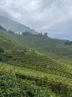 Foto von Jürgen Clement entlang der Tour