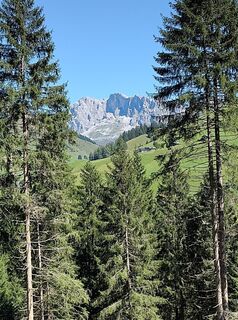 Photo de Stefan Heinzelmann le long du parcours