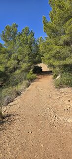 Photo de pbaumeis le long du parcours
