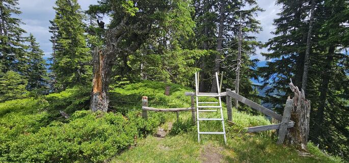 Fotografija s spletne strani Michael Ganswind na poti
