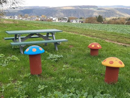 Picknickbank mit Taunusblick