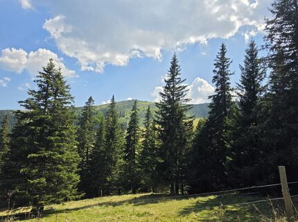 Fotografija s spletne strani MRDL na poti
