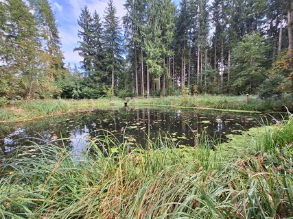 Fotografija s spletne strani Isabella Peinsold-Klammer na poti