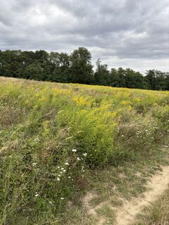 Foto de Andreas Ohrfandl a lo largo del recorrido