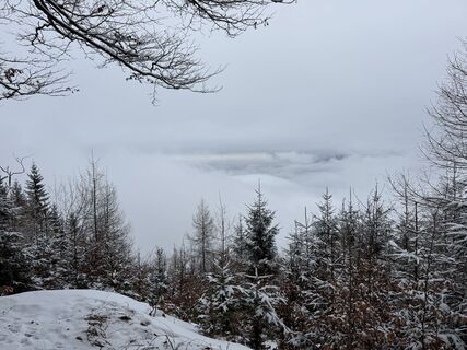 Foto von Natur_erleben_dg entlang der Tour