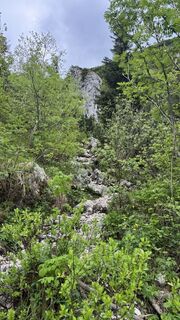 Foto von Reiner Hennemuth entlang der Tour