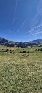 Foto de Axel Gruenewald a lo largo del recorrido